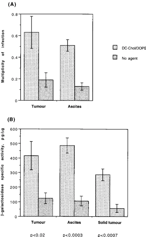 FIG. 5. In vivo transduction efﬁciency of xenografted H-Meso1 cells is en-hanced with DC-Chol/DOPE