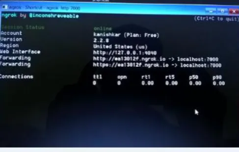 Figure 4: Running of Ngrok software 