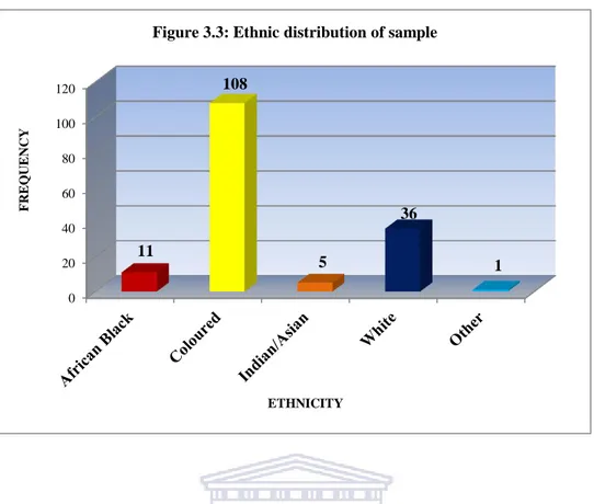Figure 3.3: Ethnic distribution of sample 