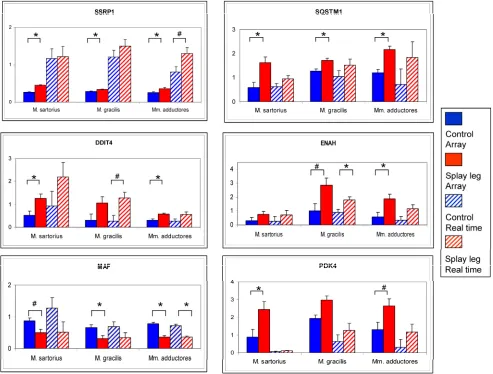 Figure 2 Comparison of relative expression values from microarray analysis (solid bars) and RT Real time - PCR (dashed bars) for six potential candidate genes for congenital splay leg in piglets