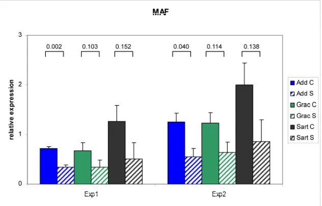 Figure 3 Repeatability of RT Real time - PCR results for MAF. Two independent experiments resulted in com-parable differences in the relative mRNA abundance of MAF between control (C: solid bars) and splay leg piglets (S: dashed bars) in three muscles
