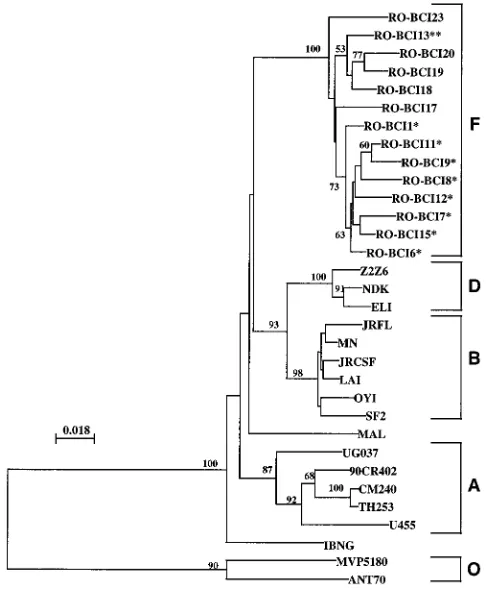 TABLE 1. Nucleotide and amino acid divergences between subtypeF and other group M subtype and group O RT sequences