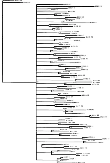 FIG. 4. HIV-1B phylogenetic inference for the 88 sequences from the 44 HIV-1-infected progressors and nonprogressors, 5 years apart, (29) by ML determination(PUZZLE 3.0) with the Tamura-Nei distance approximation and 1,000 tree-puzzling steps