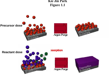 Figure 1.1  