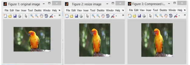 Figure 6: Feed Forward Algorithm applied on Bird Image of block size 4×4 
