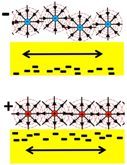 Fig 1.1 Schematic of positively and negatively charged nanodiamonds at the interface of a 