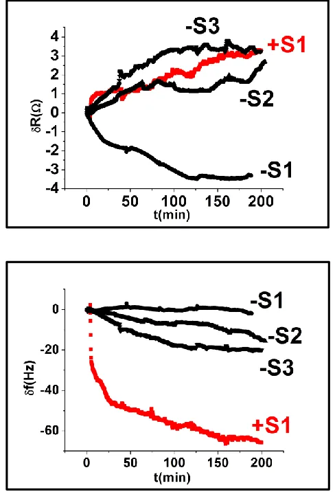Fig. 4.5.  Characteristic mechanical resistance, Rm (top) and frequency shift, δf (bottom), vs
