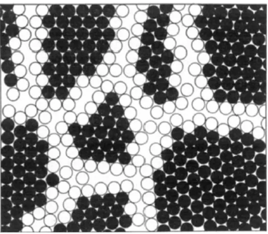 Fig. 1.1 Two-dimensional model of a nanostructured material. The atoms in the centers of the crystals are indicated in black
