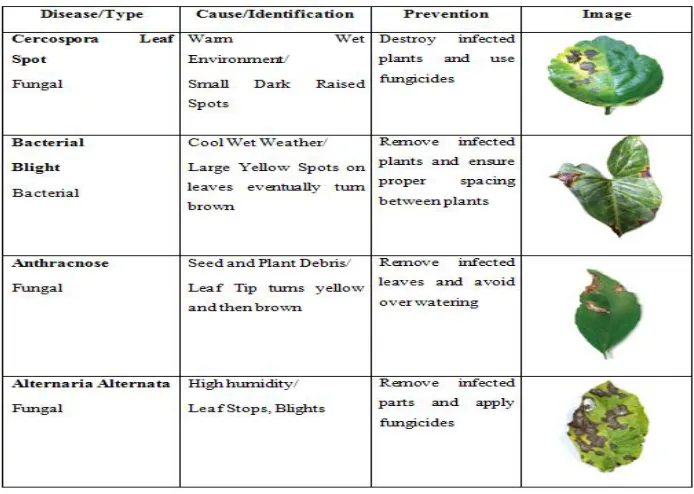 Fig. 1 Examples of Botanical Leaf Disease 