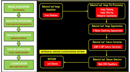 Fig. 2 Botanical Leaf Disease Detection System 