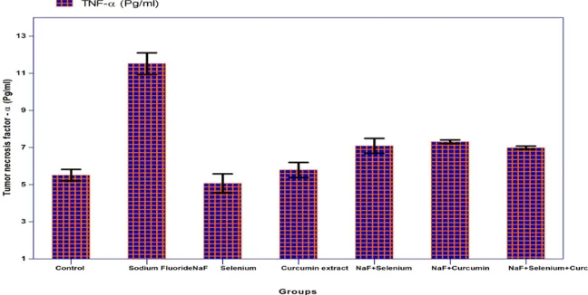 Table 1. Effect of Sodium fluoride (10.3 mg/kg), Selenium (0.5 mg/ Kg), Curcumin extract (60 mg/Kg)  and their combinations on Immunoglobulin in  male  mice (mean ± SE)