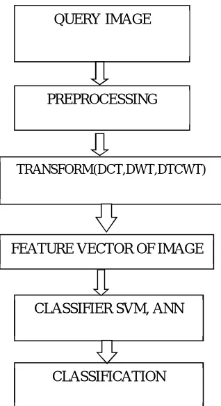 Fig. 3. Face image database for male 
