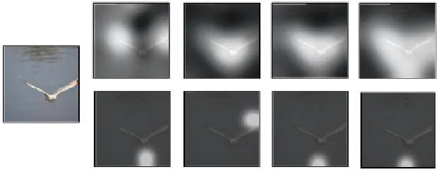 Figure 3.1: Visualization for attention. Top: Soft Attention, Bottom: Hard Attention