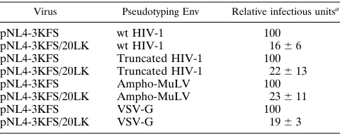 FIG. 4. Relative infectivities of 20LK in H9 and CEM(12D-7) T-cell lines. Virus stocks obtained by cotransfecting 293T cells with luciferase-expressing molecularclones and an HIV-1 or MuLV Env expression vector were used for infection of cells as indicated (Materials and Methods).