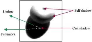 Figure 1: Different types of Shadow 