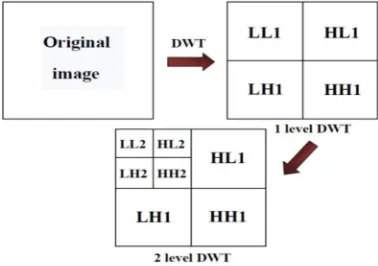 Figure 5: Frequency Distribution of DWT 