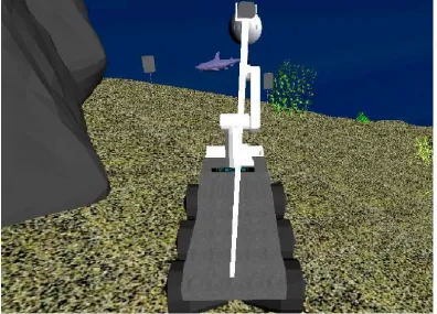 Figure 2.  Search phase:  Behind rover view.  
