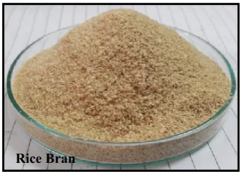 Figure 1: Substrates used for solid state fermentation  