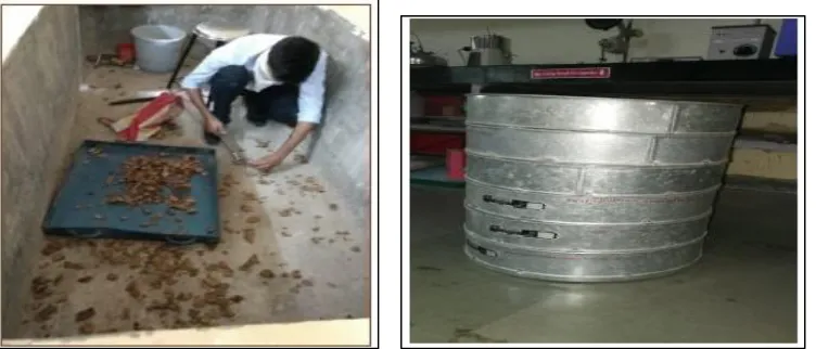Fig 3.8 Manual Crushing of Coconut shell 
