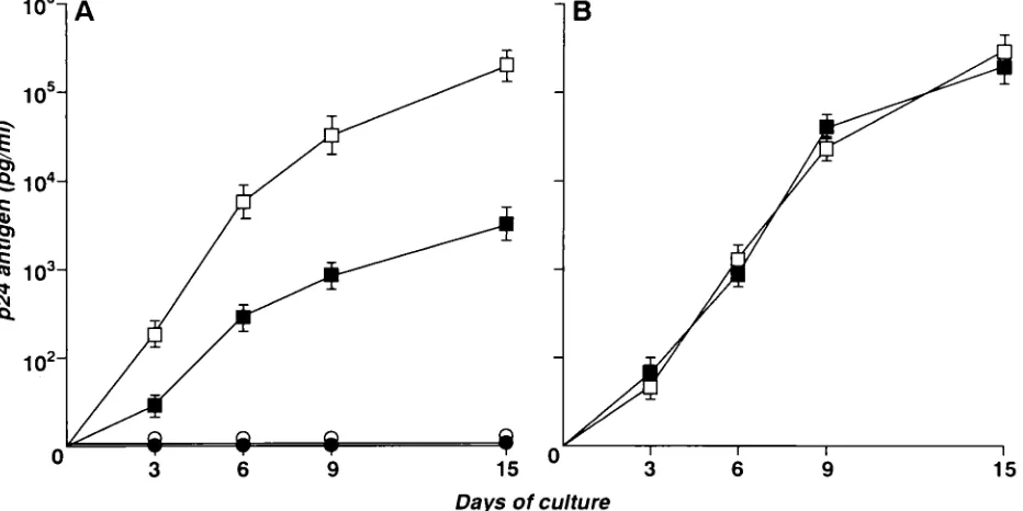FIG. 2. Analysis of length polymorphism of 5�andand 6), October 1995 (lanes 3 and 7), and June 1996 (lanes 4 and 8)