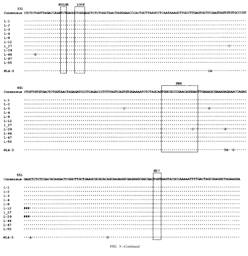 FIG. 3—Continued.