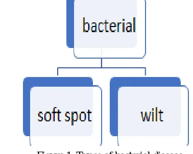Figure 1: Types of bacterial disease  