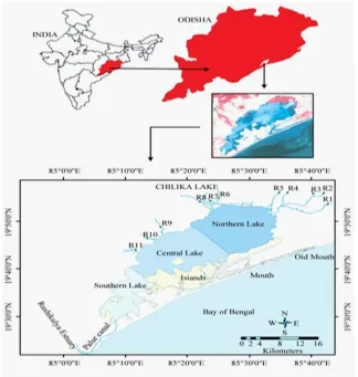 Fig. 1. Location and position of chilika