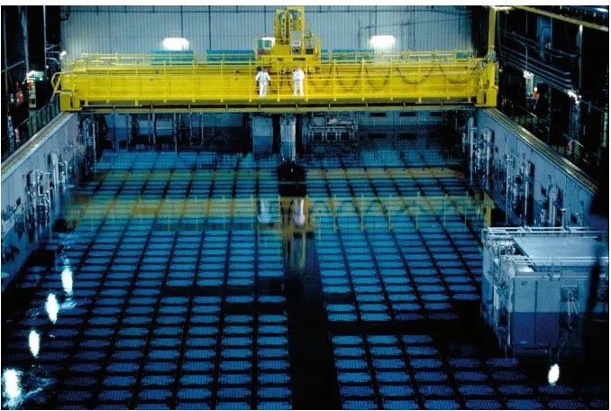 Figure 1.1:Spent fuel cooling pond [1].