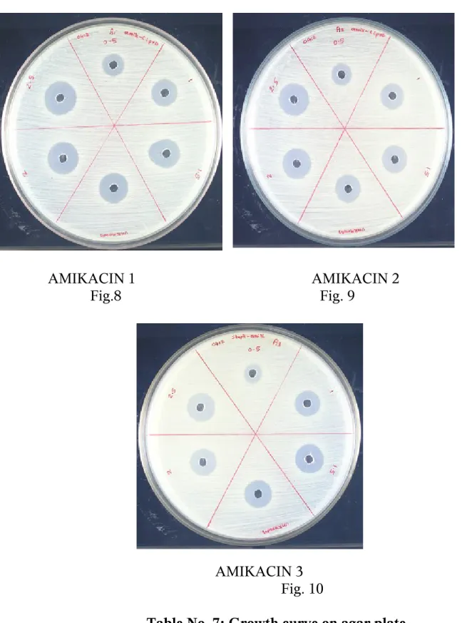 Table No. 7: Growth curve on agar plate