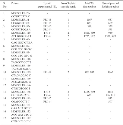 Table 2. Sequence, hybrid specific and male specific PCR products amplification of RAPD primers.