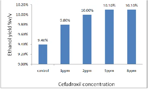 Figure 7. Effect of cefadroxil concentration on the ethanol yield in molasses medium contained 18 % w/v fermentable sugars fermented by S