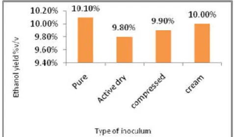 Figure 15. Effect of yeast strain on the ethanol yield in molasses medium contained 18 % w/v fermentable sugars  