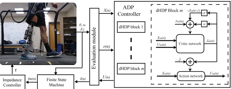 Figure 3.1 Block diagram of ADP-tuner, an automatic robotic knee control parameter tuning(scheme by dHDP with amputee in the loop