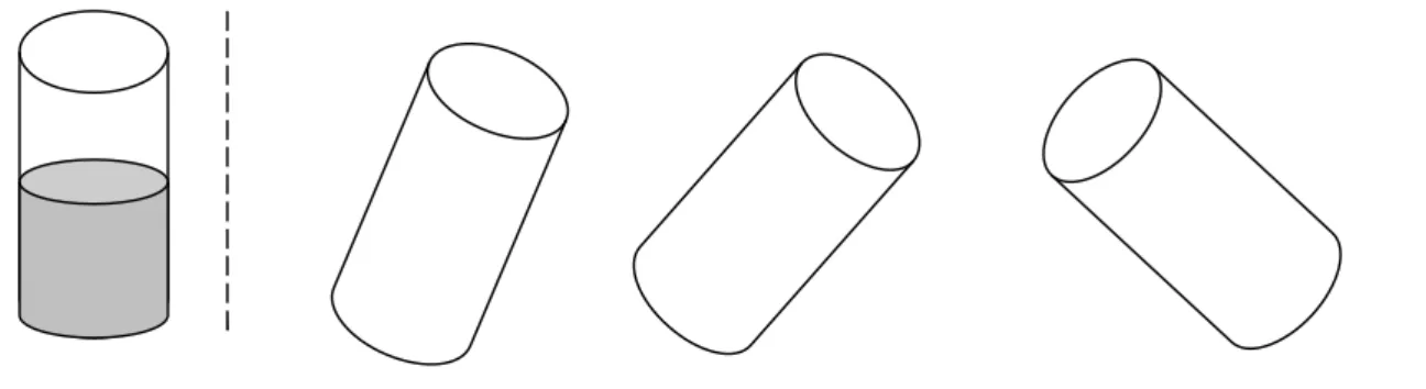 Figure 1. In the Piaget Water Level Task, subjects are presented with a container of  liquid (left), with varying quantities of fluid