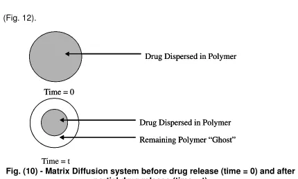 Fig. (10) - Matrix Diffusion system before drug release (time = 0) and afterpartial drug release (time = t)