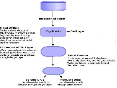 Fig. (12) :  Matrix System
