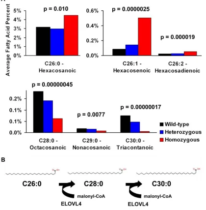 Table 1 Fatty acids measured from E19 skin samples. Significant changes using linear regression on combined Elovl4 270x and knockout are in bold
