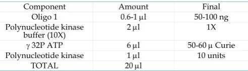 Table 7. Label Oligo 1 with γ 32P ATP. 