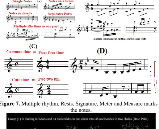 Figure 7.  Multiple rhythm, Rests, Signature, Meter and Measure marks in the notes. 