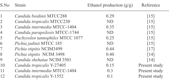 Fig. 1. Ethanol yield using Candida intermediaCandida tropicalis (Y-27405)  (MTCC-1404) and Candida tropicalis (Y-1552)