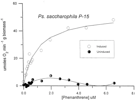 Figure 2.2. Oxygen uptake as a function of phenanthrene concentration for resting cells of P