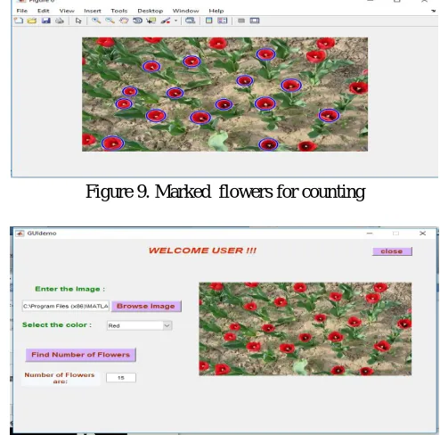 Figure 9. Marked  flowers for counting 