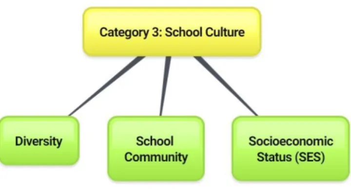 Figure 3. Category 3: School Culture 