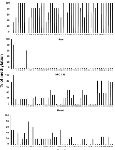 FIG. 3. A summary of the bisulﬁte genomic sequencing of the LRS region. The ythe zero level indicates that the CpG site is present and unmethylated