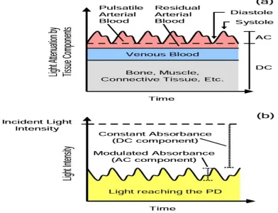 Figure 3.1. Graphical representations of (a) the light absorbance of tissue components and (b) the resulting light intensity  illuminating the PD 
