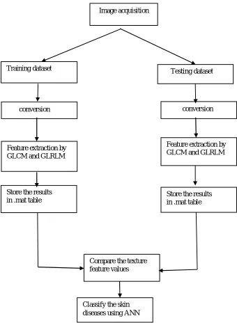 Fig. 1  Block diagram of skin diseases classification system 