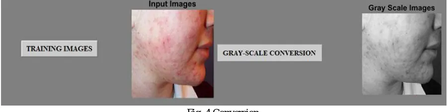 Fig. 4 Conversion 