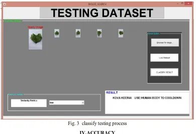 Fig. 3  classify testing process 