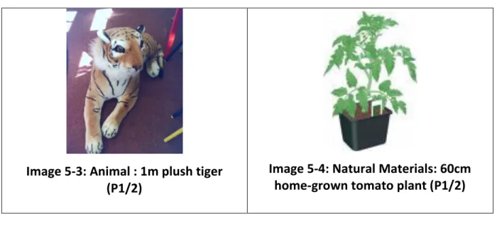 Table 5-5: Examples of largest objects 