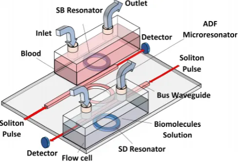Figure 1. Add-drop filter microresonator with two side rings as biosensing probe inside OWLS flow cell